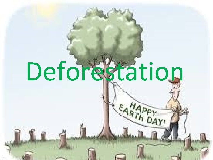 Deforestation 