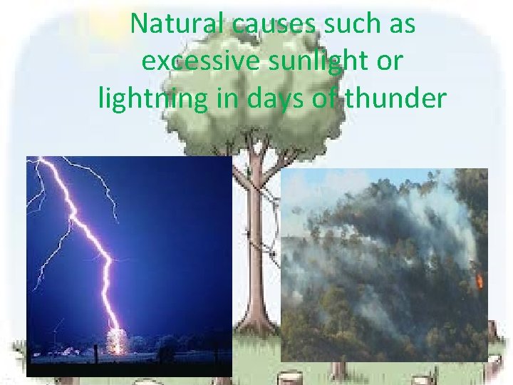 Natural causes such as excessive sunlight or lightning in days of thunder 