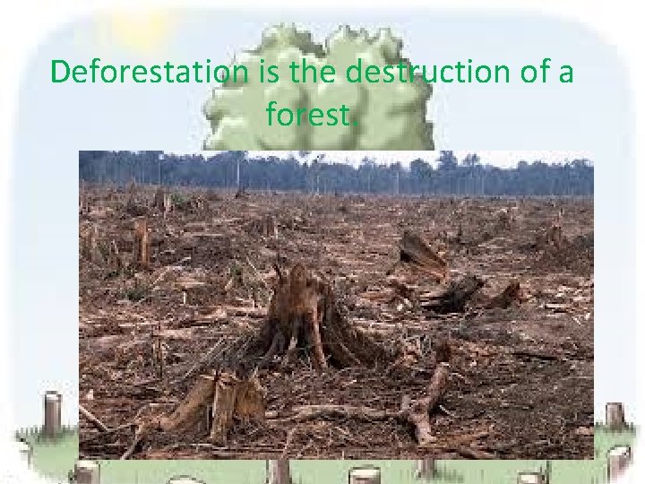 Deforestation is the destruction of a forest. 