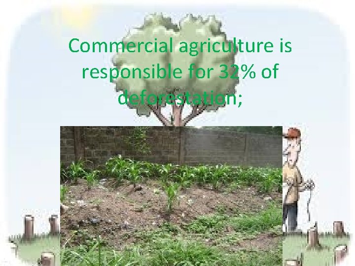 Commercial agriculture is responsible for 32% of deforestation; 