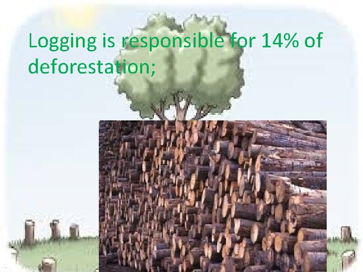 Logging is responsible for 14% of deforestation; 