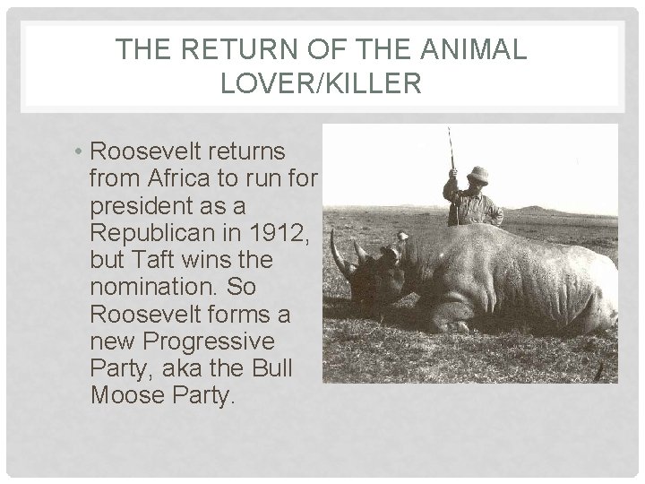 THE RETURN OF THE ANIMAL LOVER/KILLER • Roosevelt returns from Africa to run for THE RETURN OF THE ANIMAL LOVER/KILLER • Roosevelt returns from Africa to run for