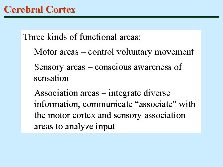 Cerebral Cortex Three kinds of functional areas: Motor areas – control voluntary movement Sensory