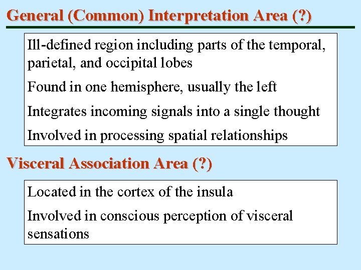 General (Common) Interpretation Area (? ) Ill-defined region including parts of the temporal, parietal,