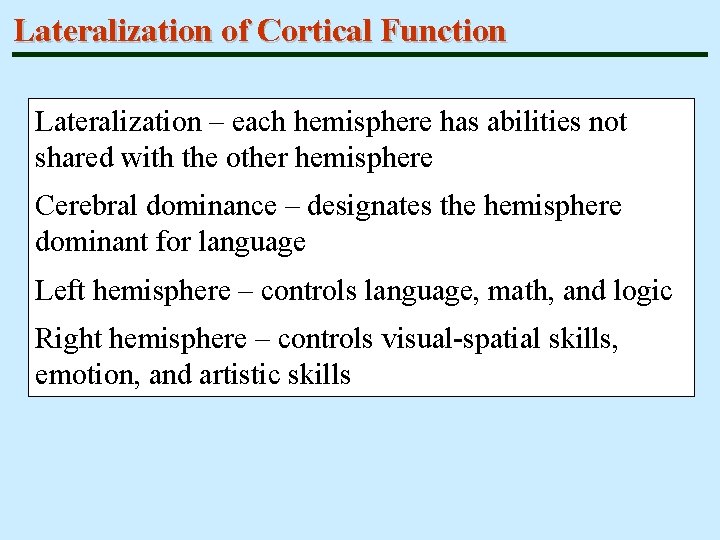 Lateralization of Cortical Function Lateralization – each hemisphere has abilities not shared with the