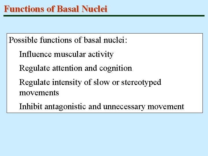 Functions of Basal Nuclei Possible functions of basal nuclei: Influence muscular activity Regulate attention