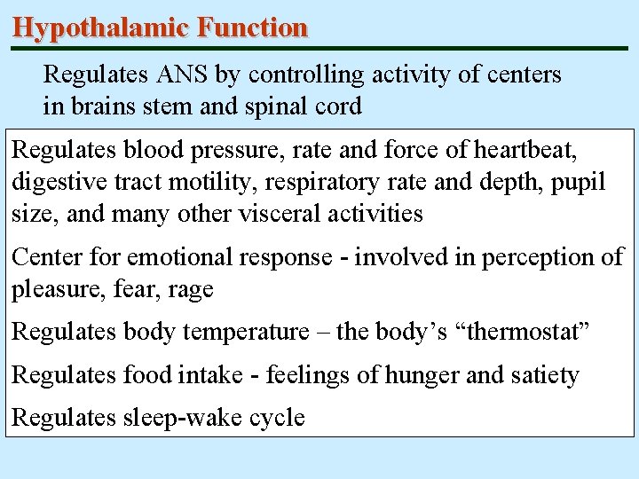 Hypothalamic Function Regulates ANS by controlling activity of centers in brains stem and spinal