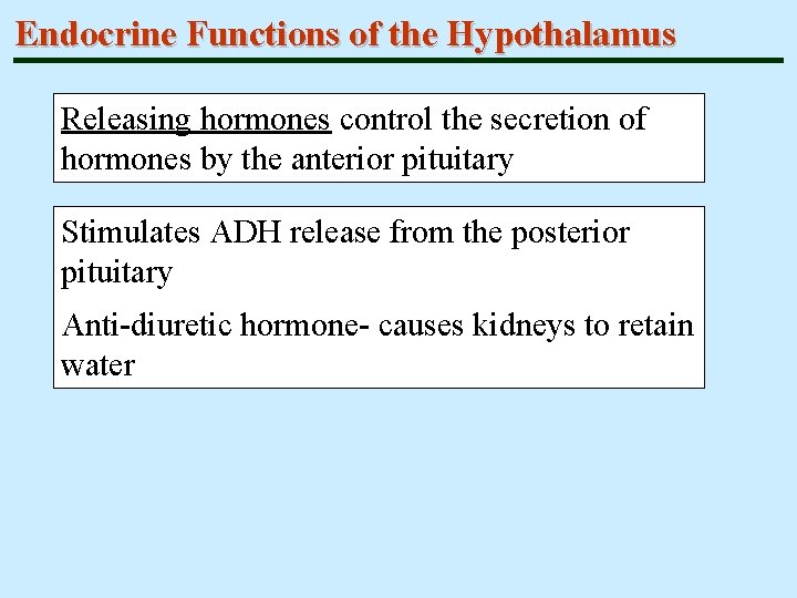 Endocrine Functions of the Hypothalamus Releasing hormones control the secretion of hormones by the