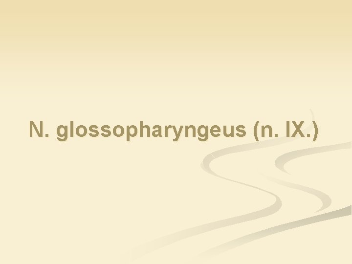 N. glossopharyngeus (n. IX. ) 