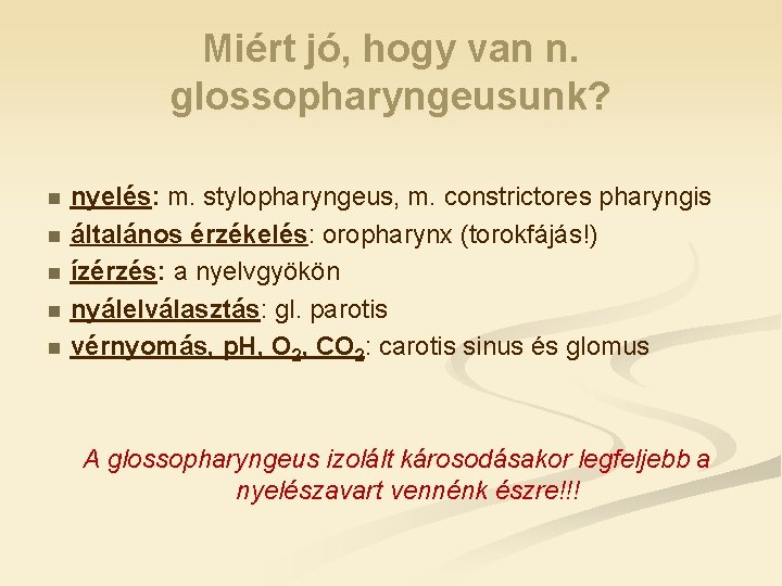 Miért jó, hogy van n. glossopharyngeusunk? n n nyelés: m. stylopharyngeus, m. constrictores pharyngis