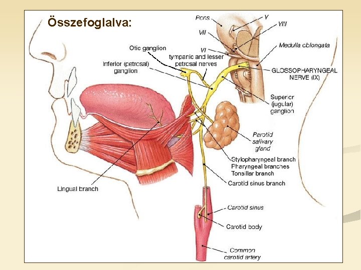 Összefoglalva: 