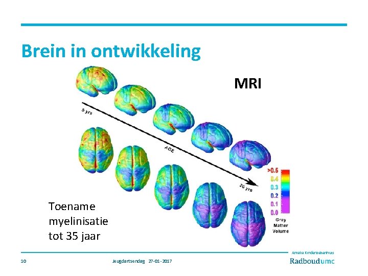 Brein in ontwikkeling MRI Toename myelinisatie tot 35 jaar Amalia Kinderziekenhuis 10 Jeugdartsendag 27