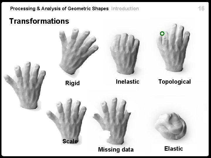 16 Processing & Analysis of Geometric Shapes Introduction Transformations Rigid Inelastic Topological Scale Missing