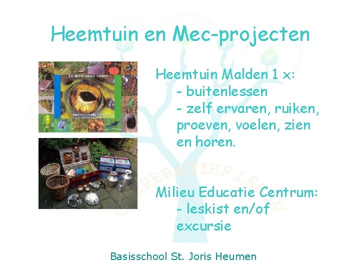 Heemtuin en Mec-projecten Heemtuin Malden 1 x: - buitenlessen - zelf ervaren, ruiken, proeven,