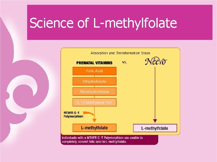 Science of L-methylfolate 