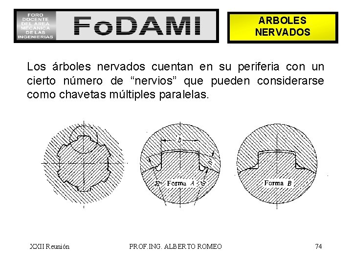 ARBOLES NERVADOS Los árboles nervados cuentan en su periferia con un cierto número de