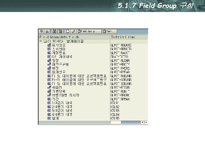 5. 1. 7 Field Group 구성 