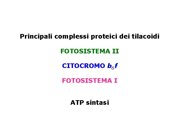 Principali complessi proteici dei tilacoidi FOTOSISTEMA II CITOCROMO b 6 f FOTOSISTEMA I ATP