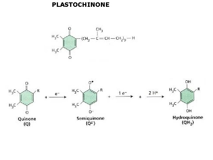 PLASTOCHINONE 