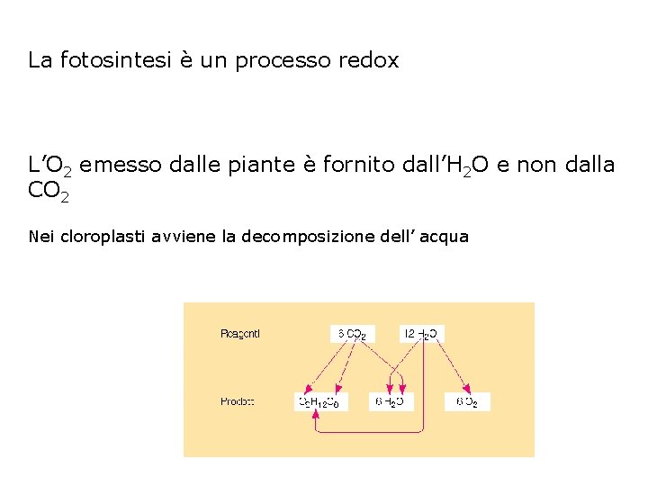 La fotosintesi è un processo redox L’O 2 emesso dalle piante è fornito dall’H