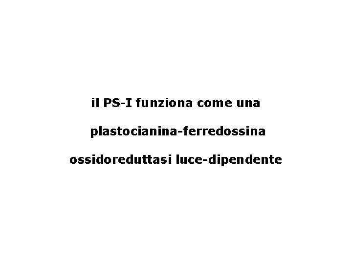 il PS-I funziona come una plastocianina-ferredossina ossidoreduttasi luce-dipendente 