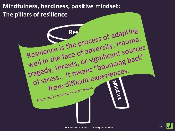 Mindfulness, hardiness, positive mindset: The pillars of resilience g n i t p a