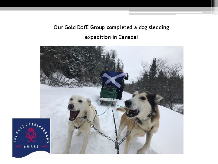 Our Gold Dof. E Group completed a dog sledding expedition in Canada! Our Gold Dof. E Group completed a dog sledding expedition in Canada!