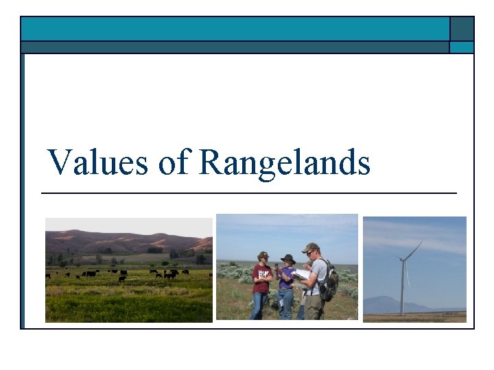 Values of Rangelands 