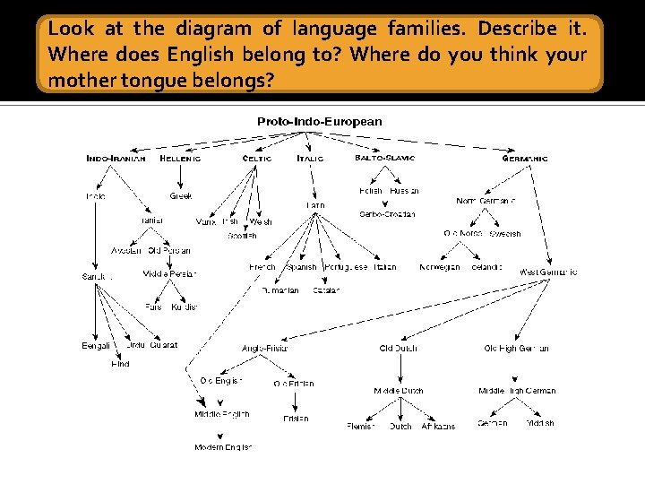 Look at the diagram of language families. Describe it. Where does English belong to?