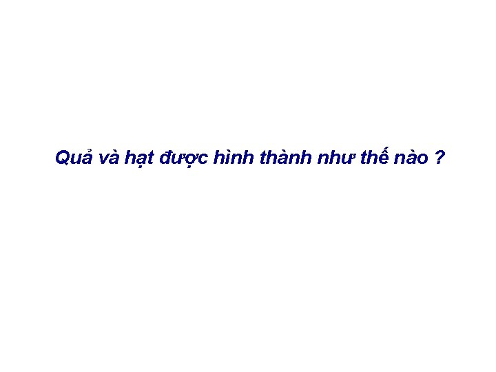 Quả và hạt được hình thành như thế nào ? Quả và hạt được hình thành như thế nào ?