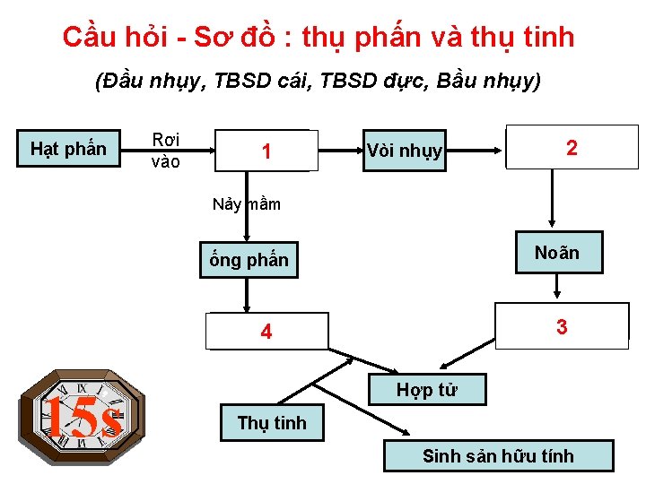 Cầu hỏi - Sơ đồ : thụ phấn và thụ tinh (Đầu nhụy, TBSD Cầu hỏi - Sơ đồ : thụ phấn và thụ tinh (Đầu nhụy, TBSD