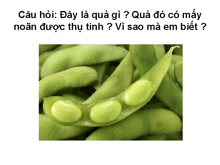 Câu hỏi: Đây là quả gì ? Quả đó có mấy noãn được thụ Câu hỏi: Đây là quả gì ? Quả đó có mấy noãn được thụ