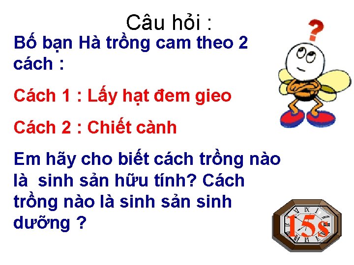 Câu hỏi : Bố bạn Hà trồng cam theo 2 cách : Cách 1 Câu hỏi : Bố bạn Hà trồng cam theo 2 cách : Cách 1