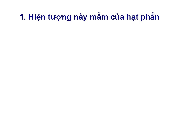 1. Hiện tượng nảy mầm của hạt phấn 1. Hiện tượng nảy mầm của hạt phấn