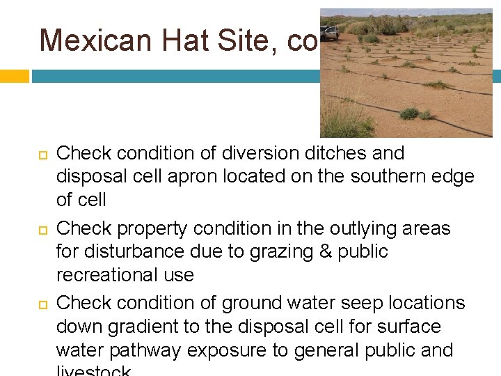 Mexican Hat Site, cont. Check condition of diversion ditches and disposal cell apron located