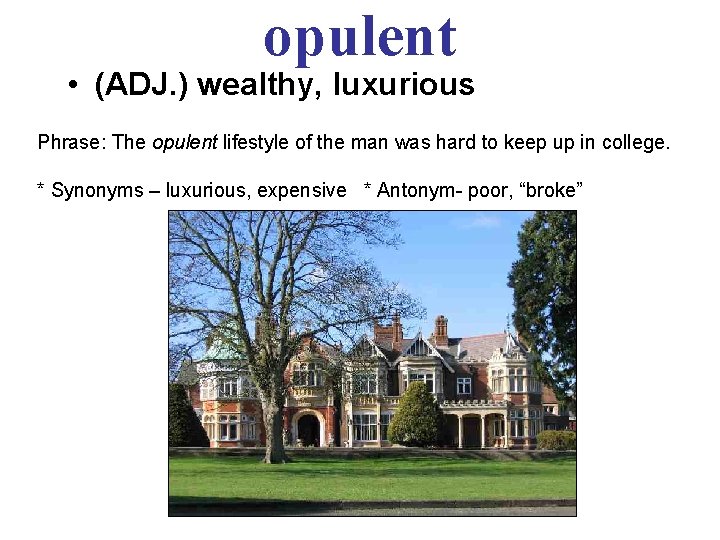 opulent • (ADJ. ) wealthy, luxurious Phrase: The opulent lifestyle of the man was
