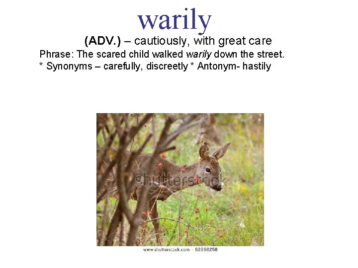 warily (ADV. ) – cautiously, with great care Phrase: The scared child walked warily