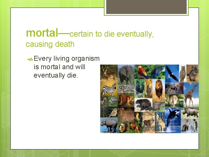 mortal—certain to die eventually, causing death Every living organism is mortal and will eventually