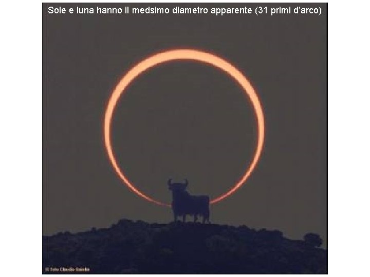 Sole e luna hanno il medsimo diametro apparente (31 primi d’arco) 