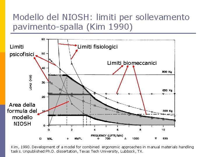 Modello del NIOSH: limiti per sollevamento pavimento-spalla (Kim 1990) Limiti psicofisici Limiti fisiologici Limiti