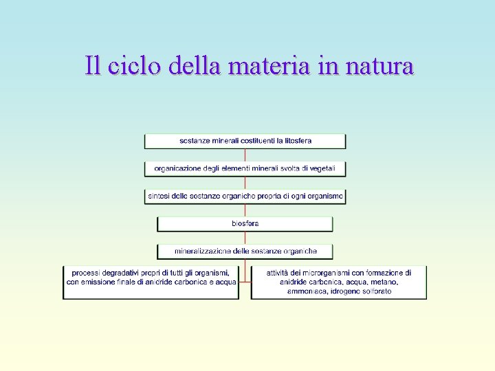 Il ciclo della materia in natura La produttivit