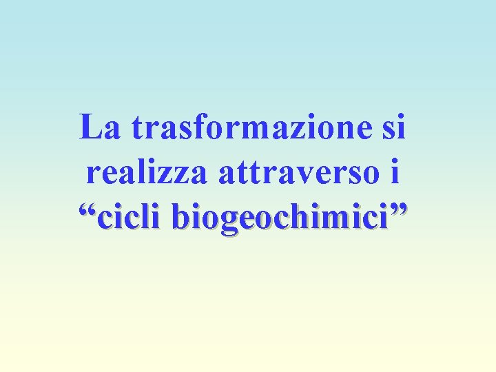 La trasformazione si realizza attraverso i “cicli biogeochimici” 