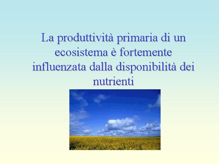 La produttività primaria di un ecosistema è fortemente influenzata dalla disponibilità dei nutrienti 