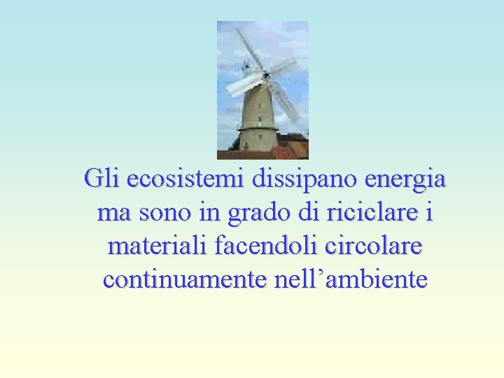 Gli ecosistemi dissipano energia ma sono in grado di riciclare i materiali facendoli circolare