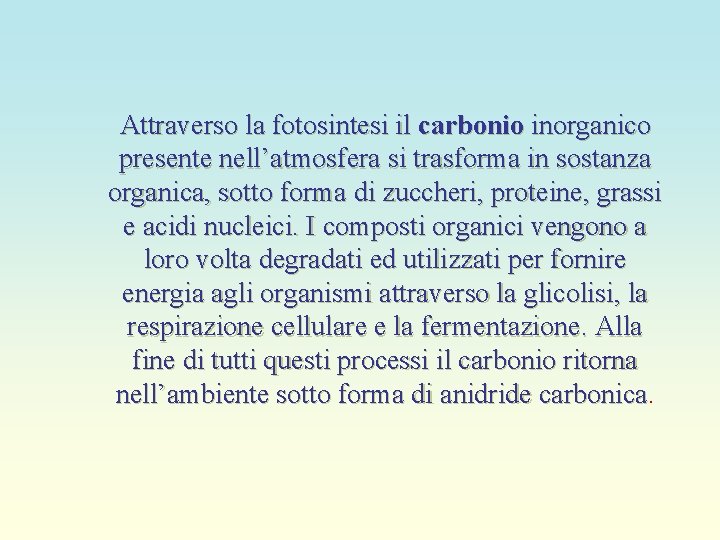 Attraverso la fotosintesi il carbonio inorganico presente nell’atmosfera si trasforma in sostanza organica, sotto