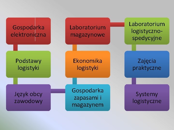 Gospodarka elektroniczna Laboratorium magazynowe Laboratorium logistycznospedycyjne Podstawy logistyki Ekonomika logistyki Zajęcia praktyczne Język obcy