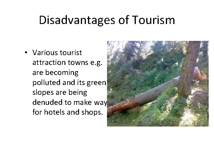 Disadvantages of Tourism • Various tourist attraction towns e. g. are becoming polluted and