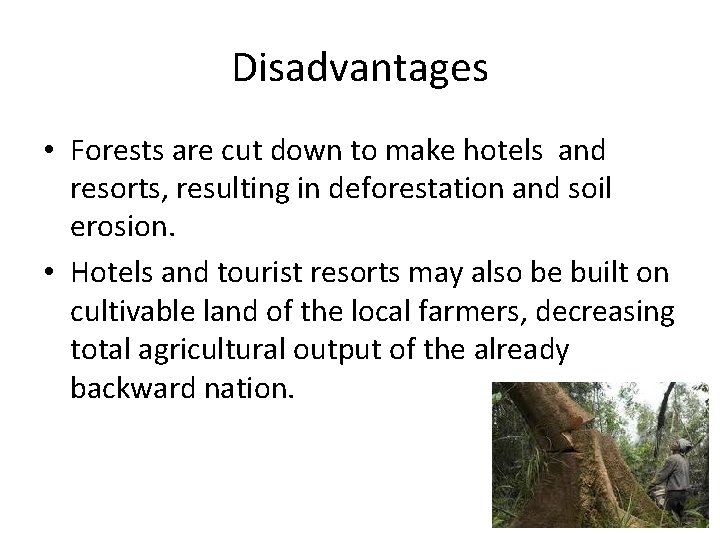 Disadvantages • Forests are cut down to make hotels and resorts, resulting in deforestation