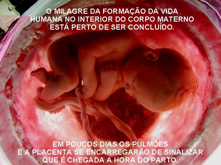 O MILAGRE DA FORMAÇÃO DA VIDA HUMANA NO INTERIOR DO CORPO MATERNO ESTÁ PERTO