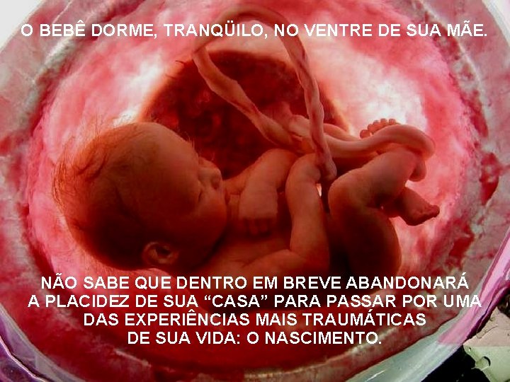 O BEBÊ DORME, TRANQÜILO, NO VENTRE DE SUA MÃE. NÃO SABE QUE DENTRO EM